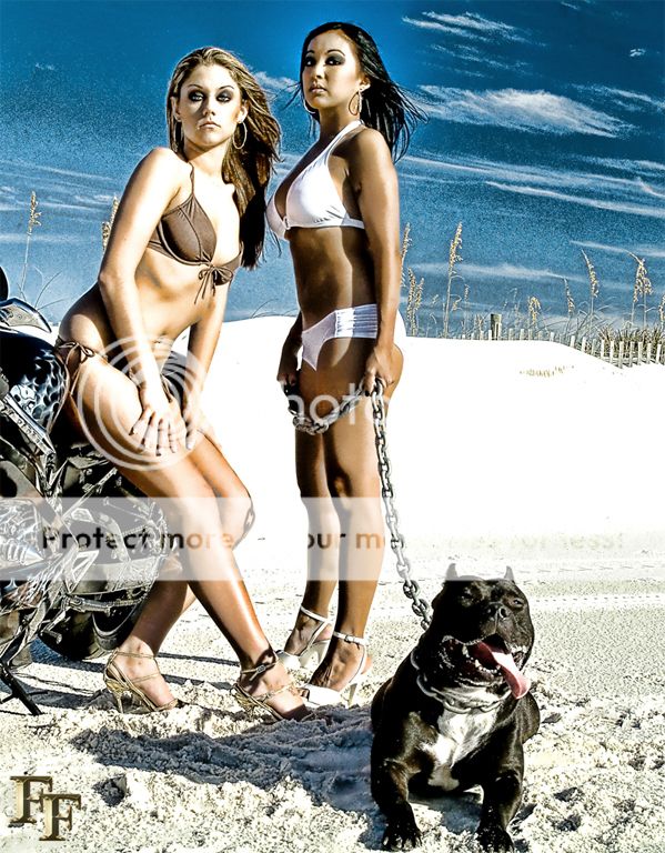 http://i401.photobucket.com/albums/pp100/foreverfotos/dsdcf2032a_art_zps8559a401.jpg