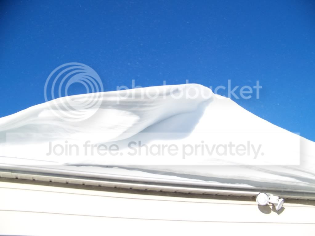 [Image: 52beb694.jpg]