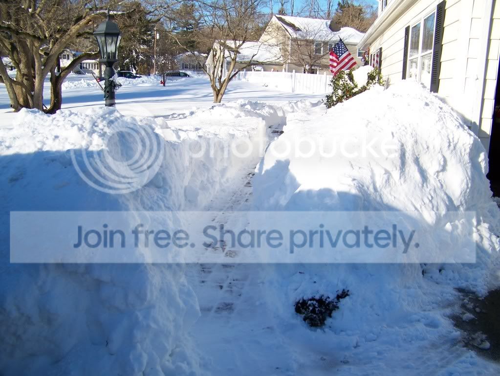 [Image: 956bc9c5.jpg]