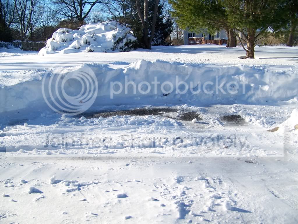 [Image: 9cdcc3f3.jpg]