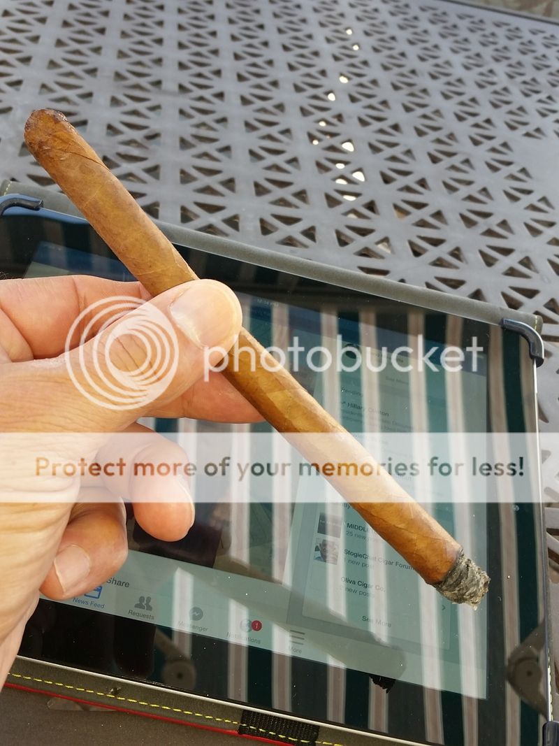 [Image: 20150815_121356_zps3vsjktoc.jpg]