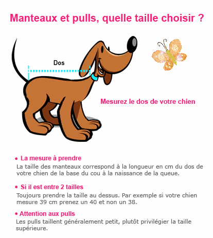 Comme augmenter les montants le membre sexuel