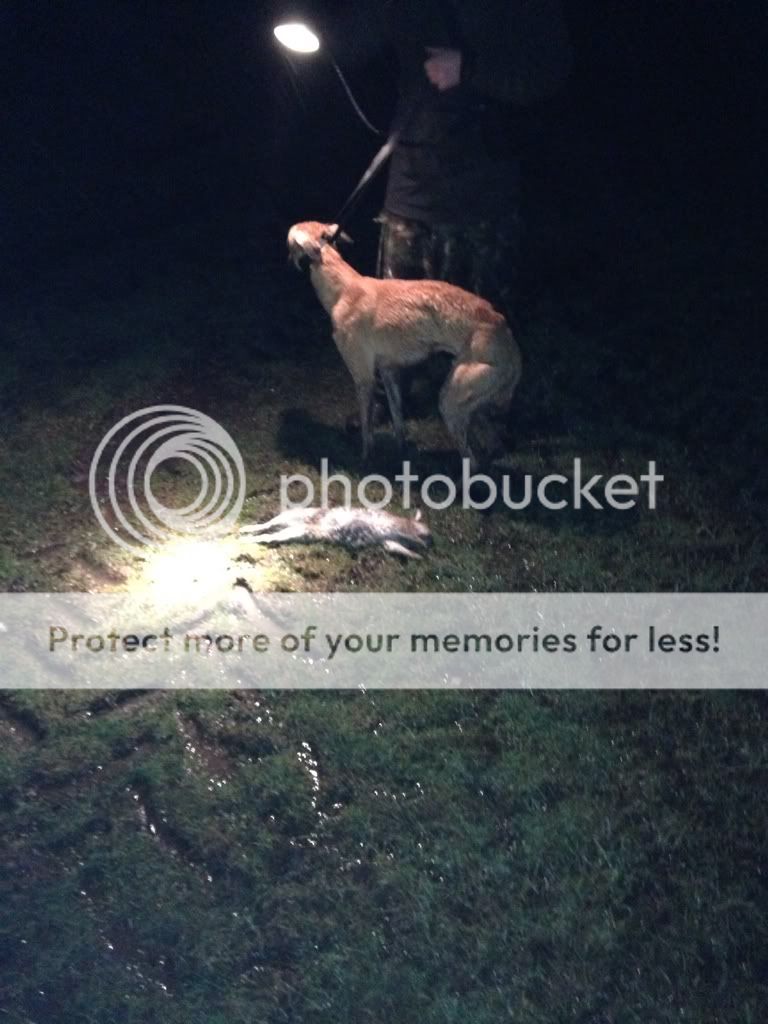 1241E4DD-5738-4DC5-9D8C-7A53362BCD0C-346