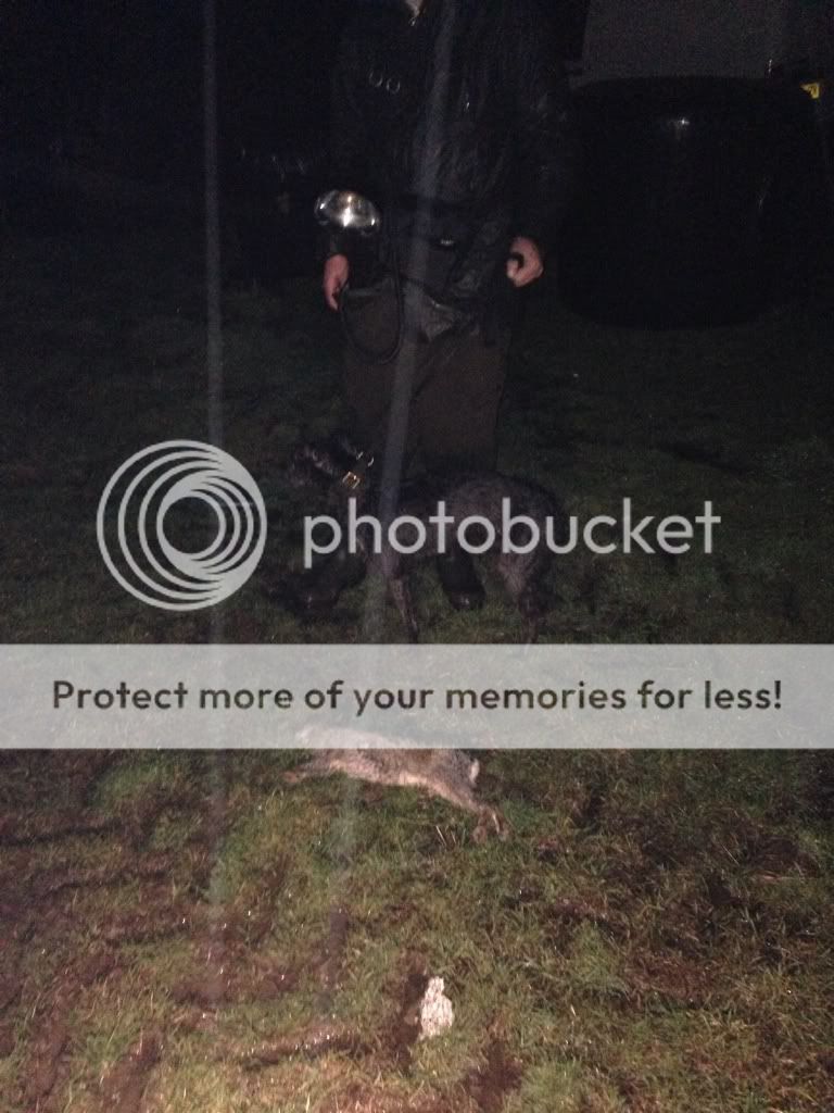 6666DD12-122A-460A-9086-01595924FB90-346