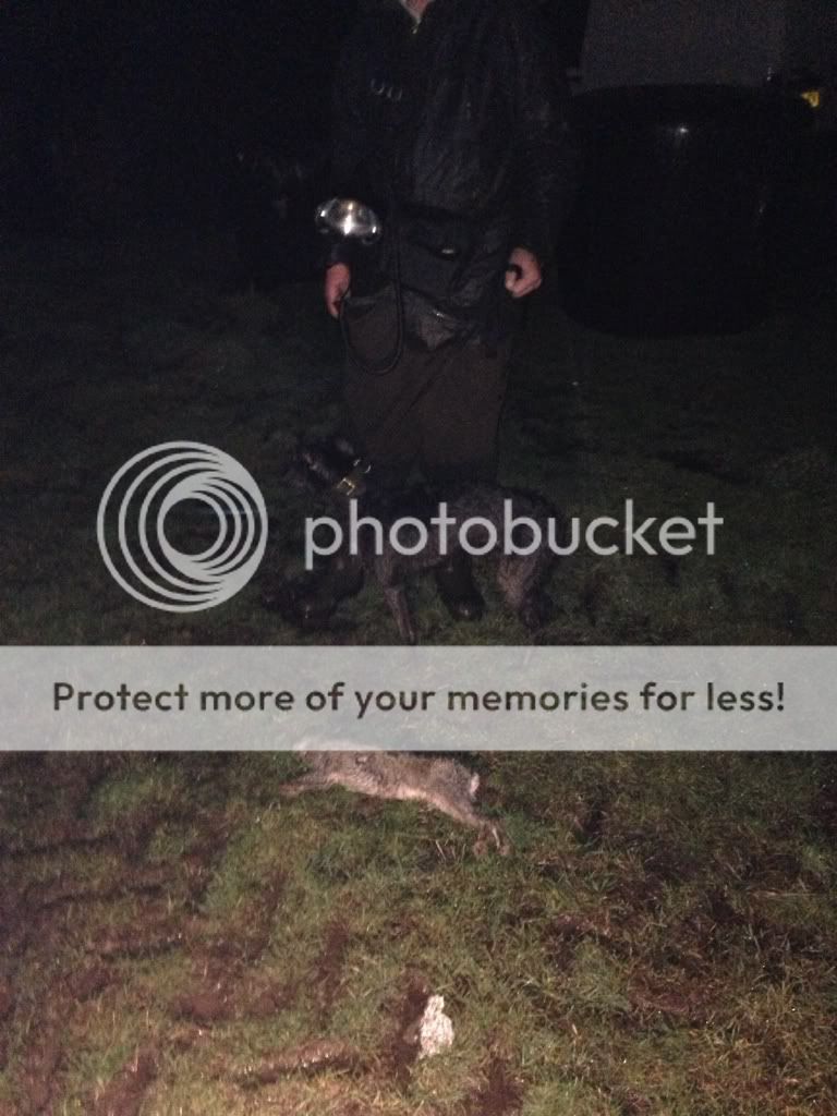 C43BFF97-BE67-433B-9AA7-D7E631582323-346