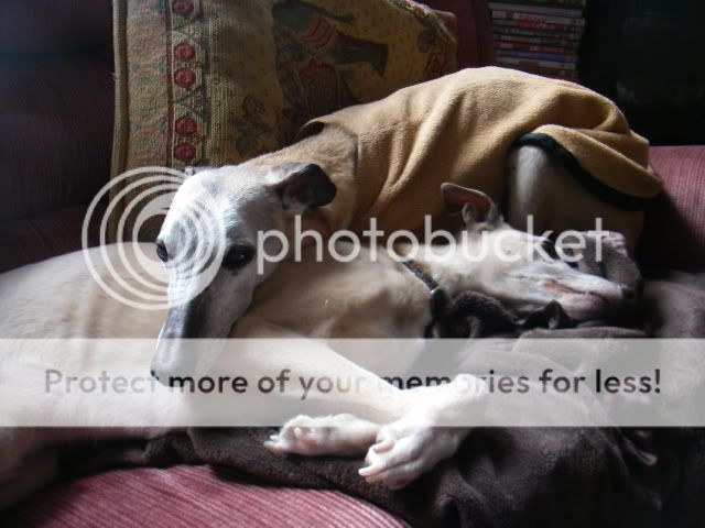 IMGP6991.jpg